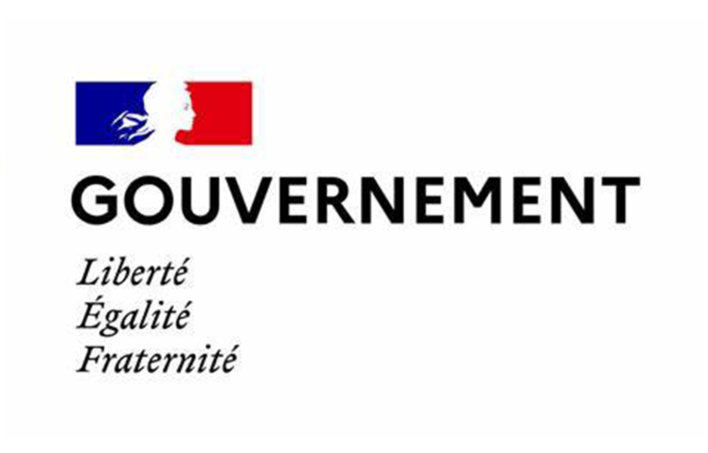 gouvernement francais
